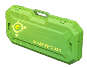 ЛетнийкейсeSports2014